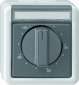 Gira 032130 Interrupteur à minuterie 120 Minutes protégé Contre leau Montage en saillie Gris