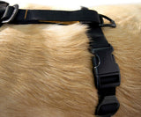 Kurgo Harnais intelligent Tru-Fit pour chien, Harnais de marche ou voiture pour animal de compagnie, Anneau en D avant (entraînement sans traction), attache de ceinture de sécurité pour chien, XL