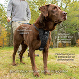 Kurgo Harnais intelligent Tru-Fit pour chien, Harnais de marche ou voiture pour animal de compagnie, Anneau en D avant (entraînement sans traction), attache de ceinture de sécurité pour chien, XL